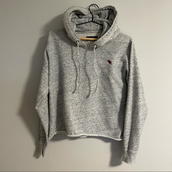 Abercrombie & Fitch Tops - Abercrombie & Fitch Cropped Soft Hoodie (Size M)